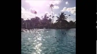 Sun Stripes - Another Day