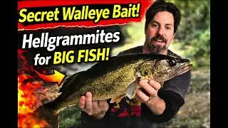 If you don&rsquo;t know&hellip; Better learn for more and bigger fish! ￼