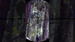 MAGFED PAINTBALL SNIPER long range hit!