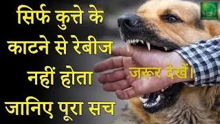 videos-1 PLAY WITH THE DOG , NOT WITH THE DISEASE  #CAR #IAPSM #WORLD_RABIES_DAY_2019