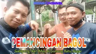 PEMANCINGAN BAGOL GUNUNG BATU - Kolam Galapung Ikan Mas di Gg Rd.Kosasih Gn.Batu Bogor #mancingmania