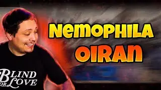 【LIVE】NEMOPHILA / OIRAN (NAONのYAON2021) | Reaction