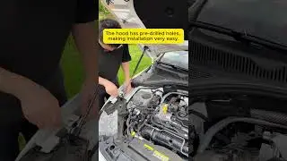 Jetta Hood Strut Upgrade: Easy DIY Swap for Effortless Opening #jetta #car #bora