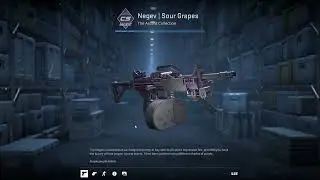 WORLD #4 HIGHEST FLOAT Negev Sour Grapes Battle Scarred CS2 AnimGraph2