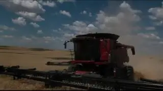 FD75 Custom Cutters 2