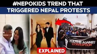 Nepo Kids & Viral Scandals: The New Playbook for Political Accountability