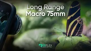 REEFLEX Long Range Macro 75mm 2.0 | Sharper Macro. More Distance. More Detail.