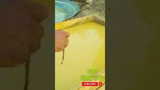 Traditional Jaggery Making | MAKING OF GURR | #jaggerymaking #gurrecipe 017