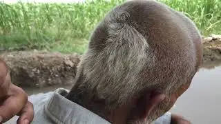 ASMR cutting ✂️ Barber shop 💈 ASMR relaxing ASMR video ASMR tiktok ASMR Sound ASMR Sleep Haircut 💤 
