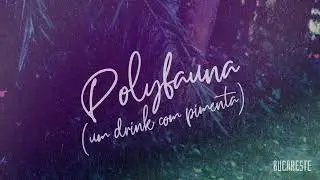 Polyfauna - Bucareste