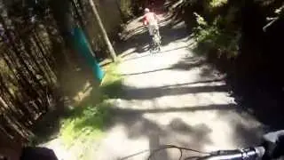 Arno Willingen downhill freeride