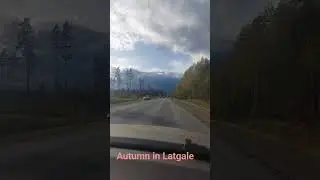 Life in Latvia# autumn# driving into clouds# road# car