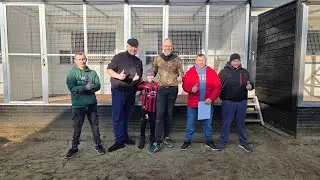 Bracia Van Toor - Ostatni bastion gołębi Leo Heremans w Europie. Historia hodowli.💥🚀😉