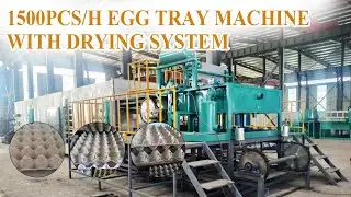 SL-4*1 egg tray making machine with metal drying line | Solution: paper tray production with drying