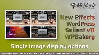 Salient WPBakery New Effects for single image display in WordPress