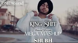 King Shit _ Mashup ( slow + reverb ) You and Me  (Shubh) _ Base Boosted _ Shubh ( Mega mix)#shubh