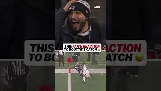 Valid react 😆 #nfl #patriots #nflplayoffs