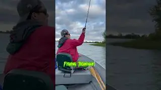 Fishing Techniques EVERY Beginner NEEDS To Know! #shorts #fishing #summeronshorts
