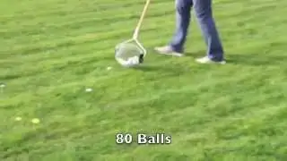 Roll In Pro Golf Ball Collector