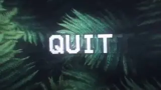 quit