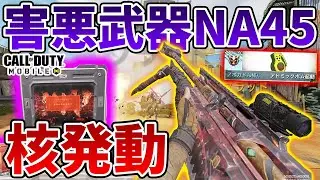 NA45世界1位が核出す瞬間を見守った男　NA最強武器ですかこれ！？ 【CODモバイル】【Tanaka90】