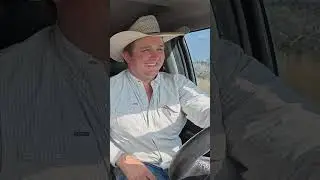 Powell Herefords: The Black Sheep Story