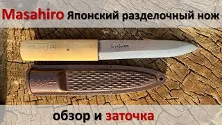 Масахиро недорогой Японский полевой разделочный нож. Обзор и Заточка.
