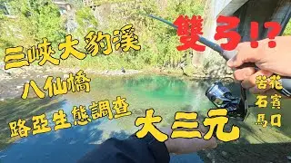 【溪釣日記】三峽 大豹溪 路亞攻略：如何解鎖苦花、石賓、一枝花？雙弓瞬間全紀錄！#三峽 #八仙橋 #路亞釣魚 #解封 