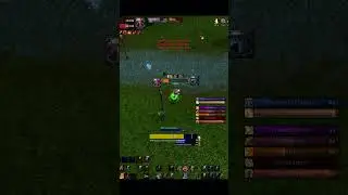 Дуэль на удаление Персонажа в WoW! #sod #worldofwarcraft #wow #pvp