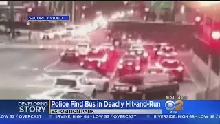 Pedestrian Dies After Being Hit, Dragged By Tour Bus In Exposition Park