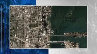 Biscayne Bay manatee population faces yet another threat