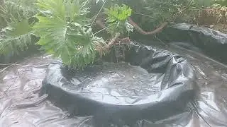 damliners for water harvesting in kenya.