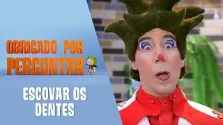 Obrigado por Perguntar - Escovar os Dentes