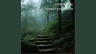 Forest Mist