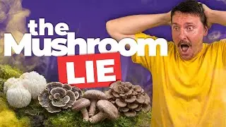 THE BIOHACK LIE: You&rsquo;re Not Actually Taking Mushrooms