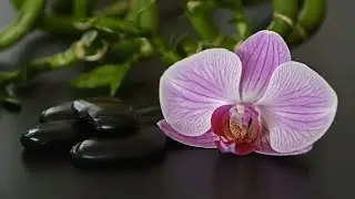 Beautiful Relaxing Music, Peaceful Soothing Instrumental Music, 