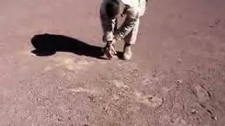 Stupid Cactus vs. Stupid Marine part 1