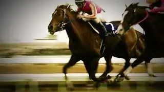 2013年 有馬記念 JRA CM THE LEGEND テイエムオペラオー 30秒ver