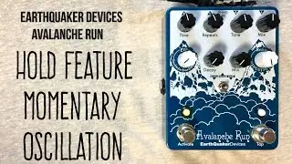 EarthQuaker Devices Avalanche Run - Hold Feature (Momentary Oscillation)