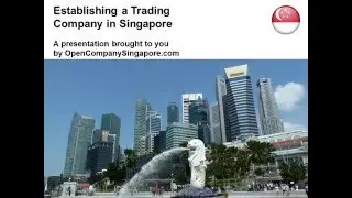 Establishing a Trading Company in Singapore