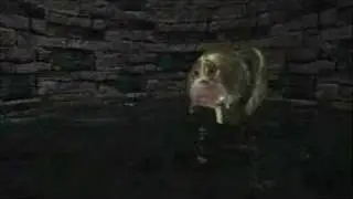 Donkey Ollie 1 Journey to Jerusalem: I'm Falling Song