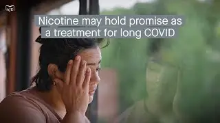 Impaired cholinergic transmission is linked to the symptoms of long COVID