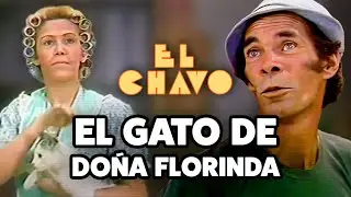 Don Ramón y el misterio de los peces desaparecidos | El Chavo Del 8