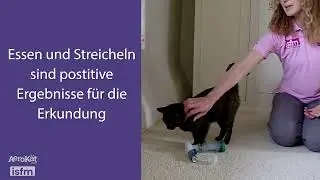 Unterrichten Sie jeder Katze AeroKat* mit einem zertifizierten Verhaltenstherapeuten