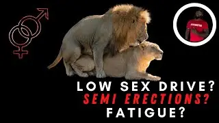 LOW SEX DRIVE? Fatigue? Watch This Now | Kevin &ldquo;Black Superman&rdquo; Lewis
