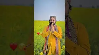 Village poetry in sindhi ٻھراڙي جو سادو ماڻھو #ytshorts#viralvideo#Sindhipoetryreels