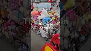 Thrifting in Lincoln Park Chicago.#chicago #thrifting #thrift #lincolnpark #thrifter #reseller #ebay