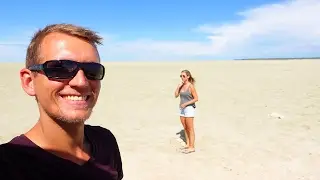 Etosha Nationalpark: Selbstfahrer Safari in Namibia | VLOG 180
