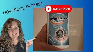 Mold Remover Gel Review | Easy Fix for Stubborn Mold!
