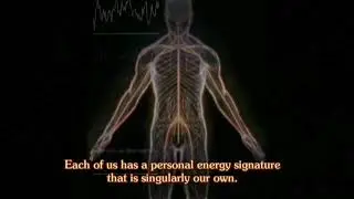 How Bioresonance Therapy Works